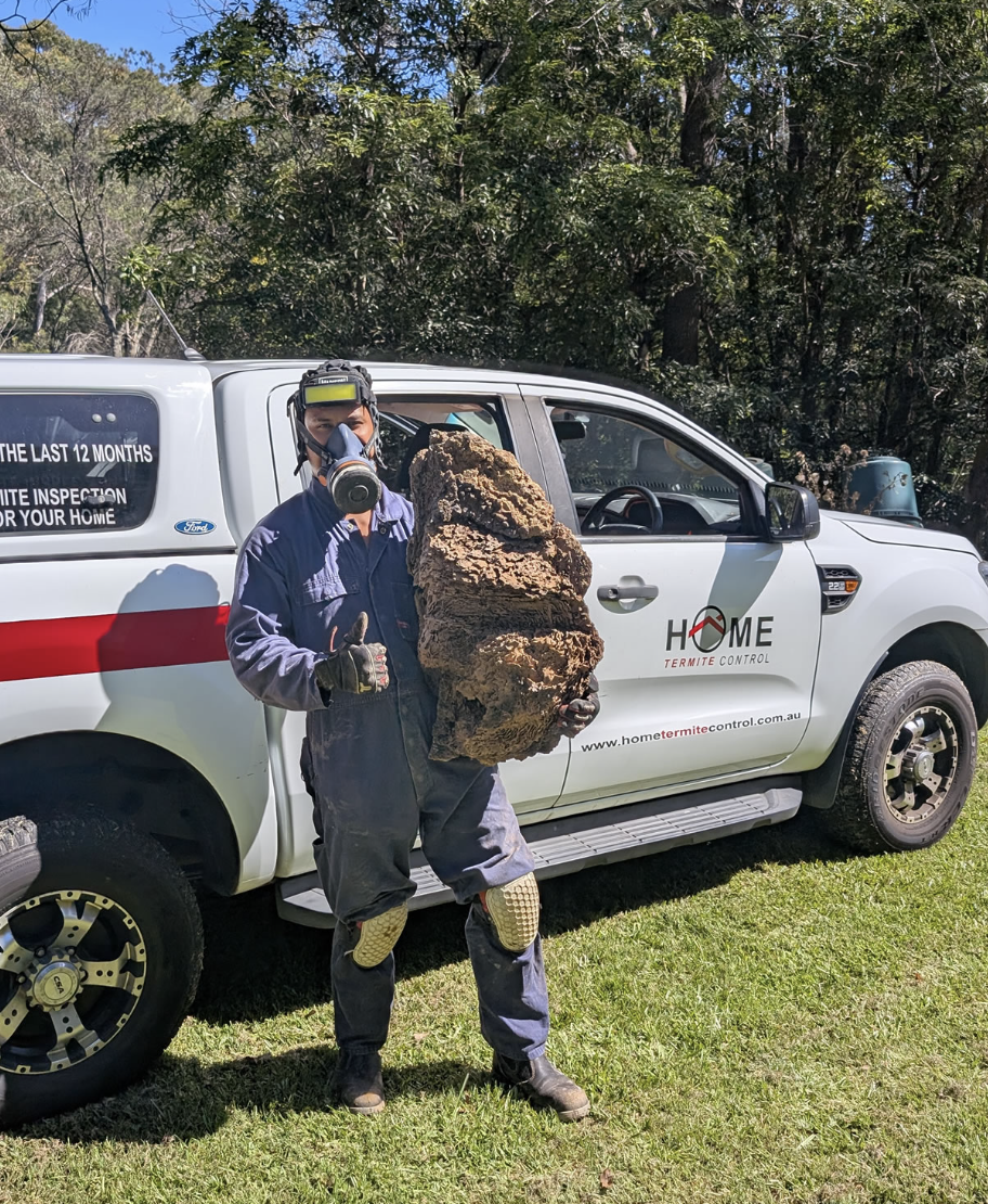Home Termite Control technician with a termite mound